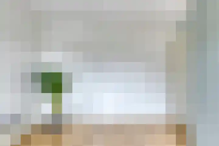 Hagehof 14 Breda thumbnail 22
