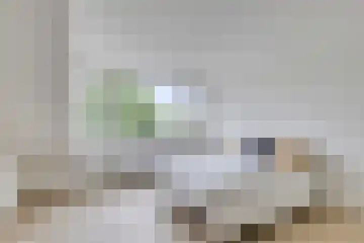 Hagehof 14 Breda thumbnail 23