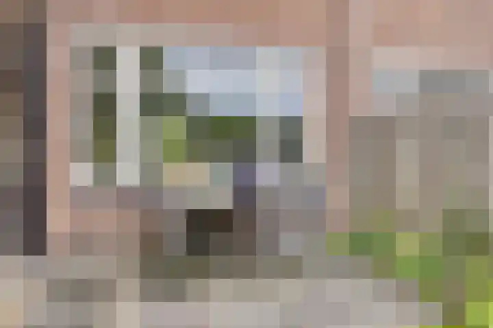 Hagehof 14 Breda thumbnail 27