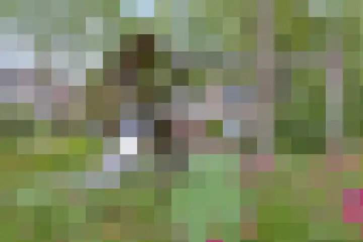 Hagehof 14 Breda thumbnail 33