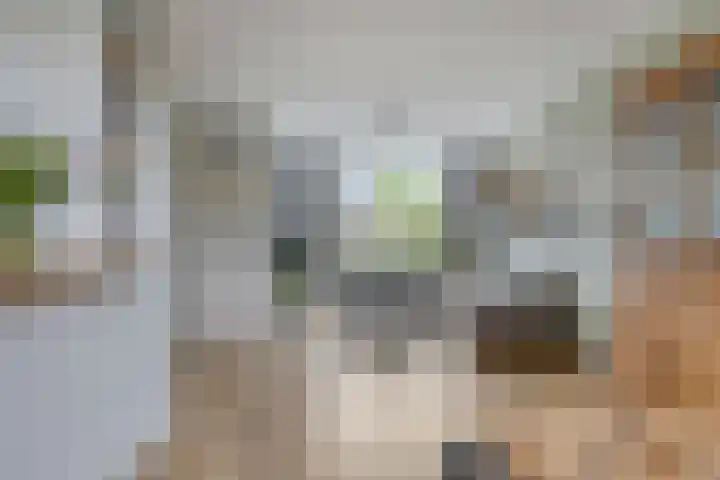 Hagehof 14 Breda thumbnail 7