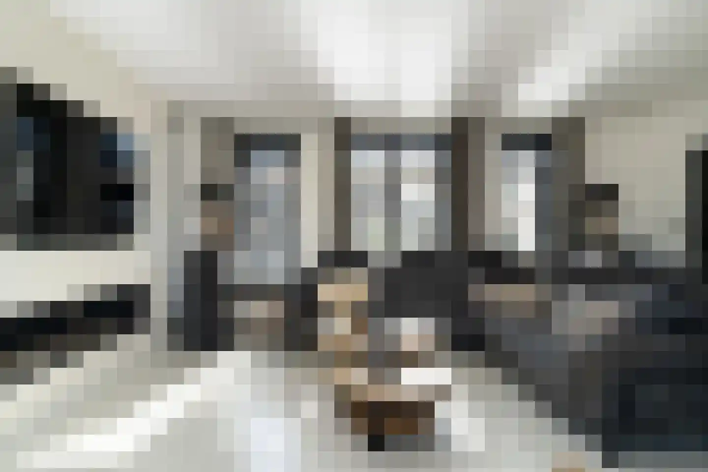 Hageland 1 Hedel thumbnail 10