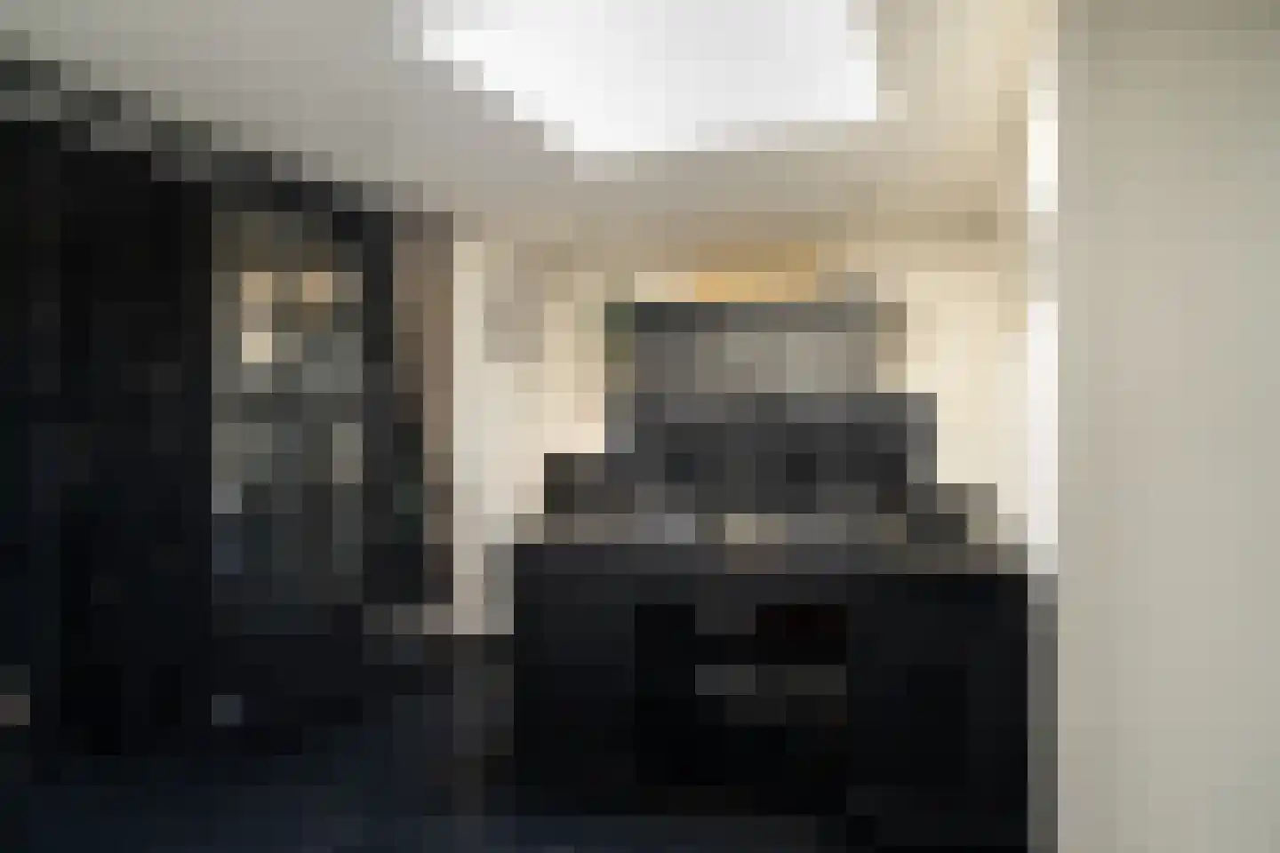 Hageland 1 Hedel thumbnail 20