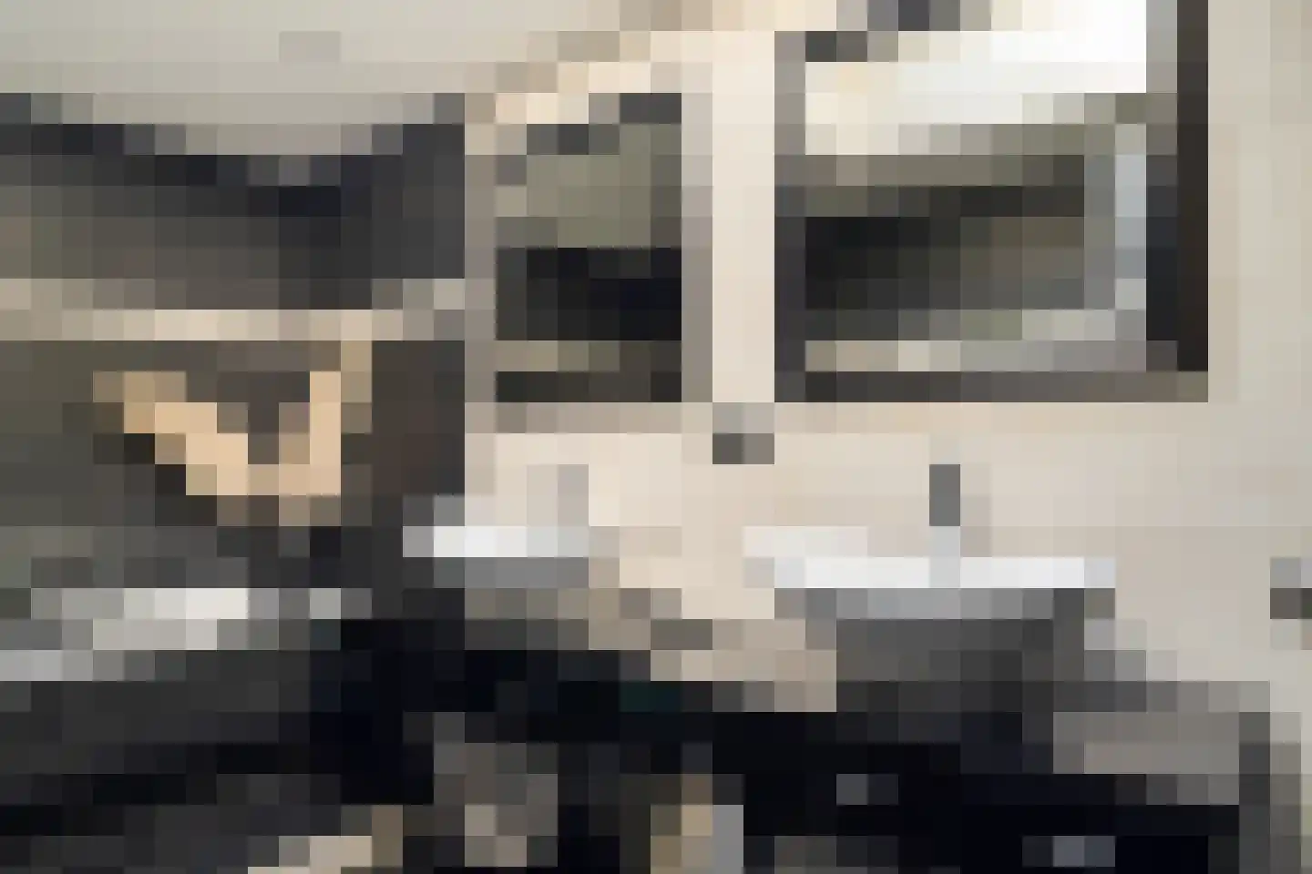 Hageland 1 Hedel thumbnail 22