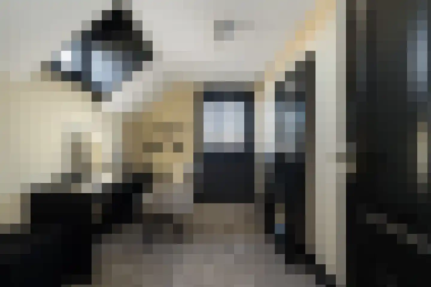 Hageland 1 Hedel thumbnail 29