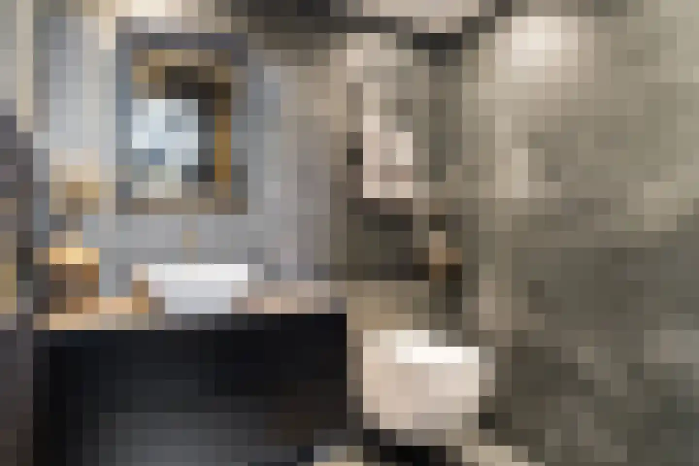 Hageland 1 Hedel thumbnail 33