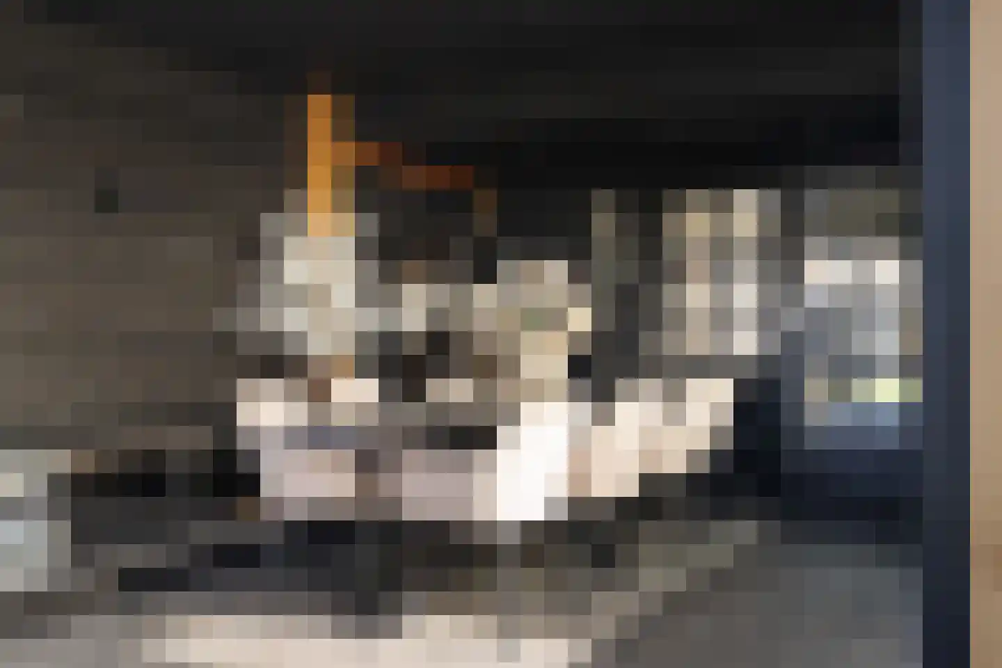 Hageland 1 Hedel thumbnail 37