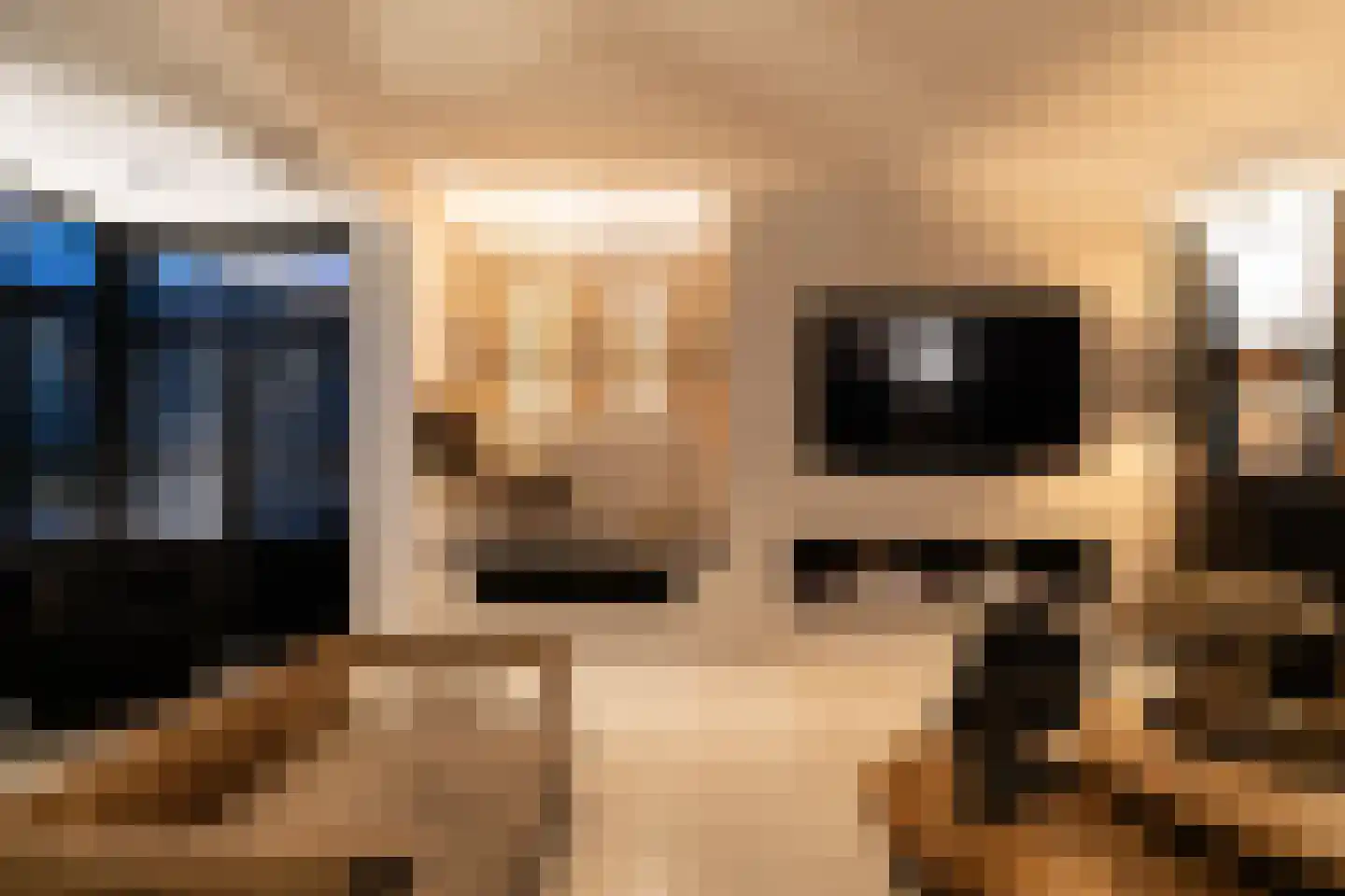 Hageland 1 Hedel thumbnail 4