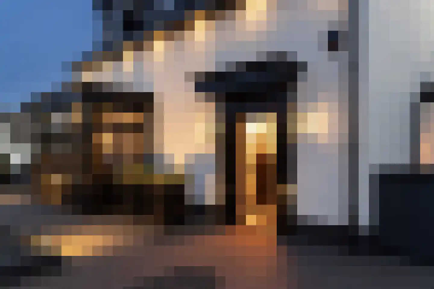 Hageland 1 Hedel thumbnail 50
