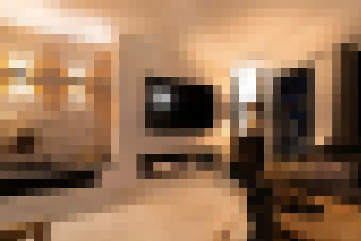 Hageland 1 Hedel thumbnail 51