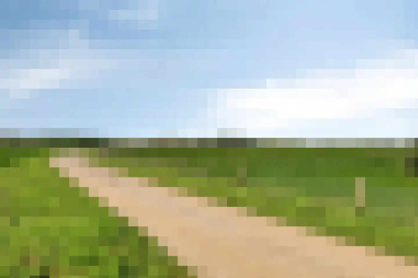 Hageland 1 Hedel thumbnail 55