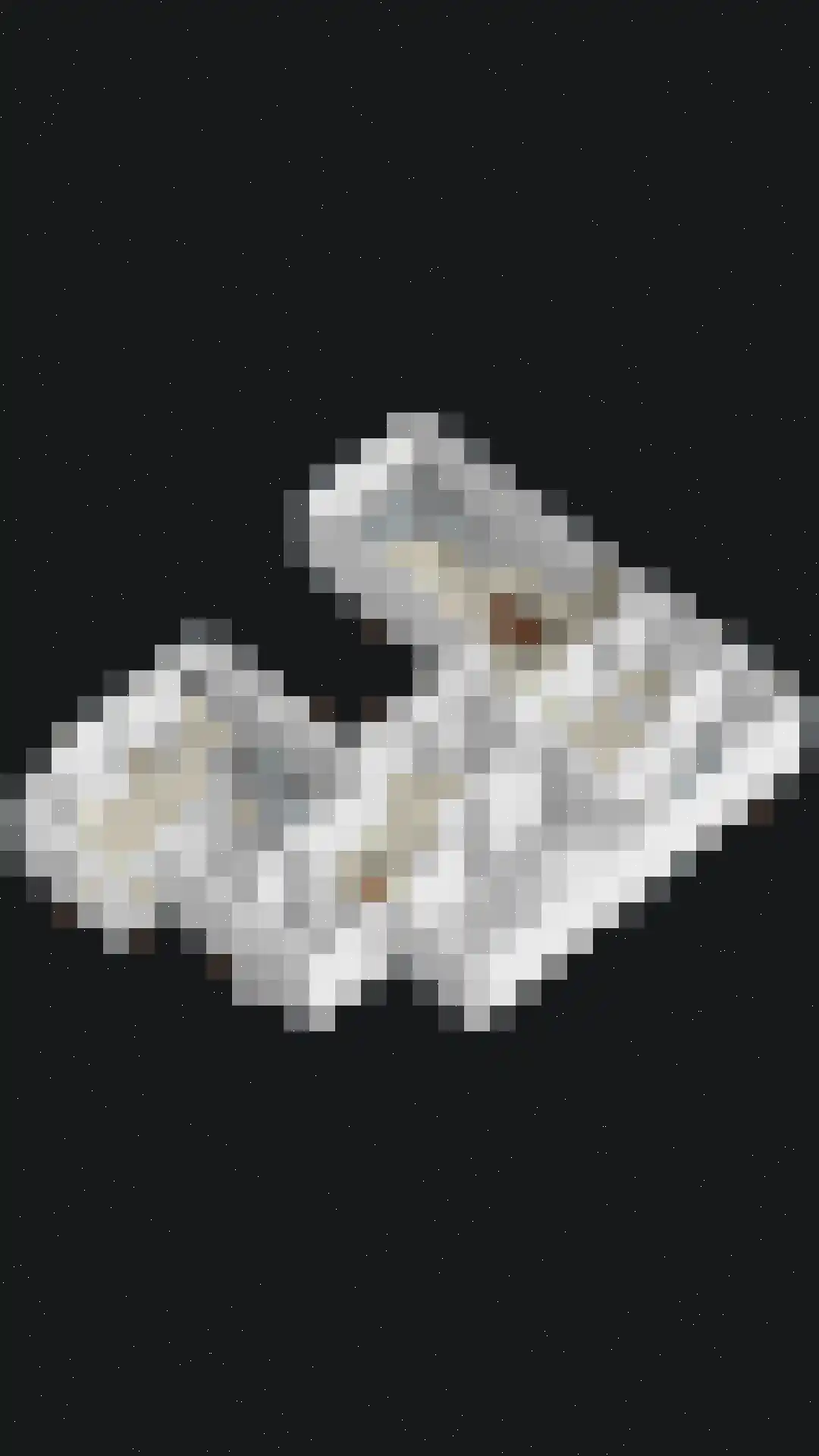 Hageland 1 Hedel thumbnail 63