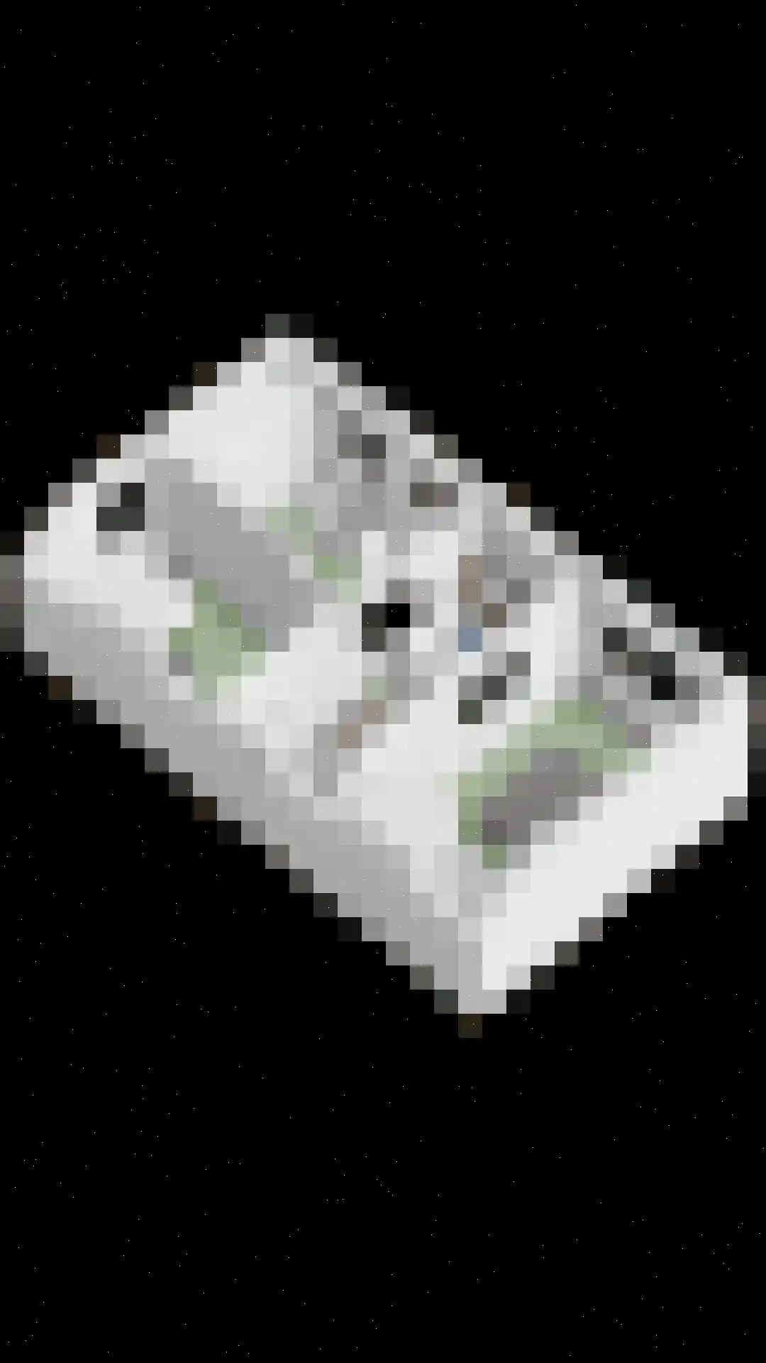 Hageland 1 Hedel thumbnail 64