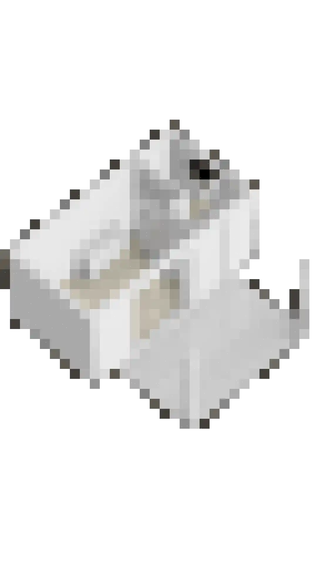 Hageland 1 Hedel thumbnail 66