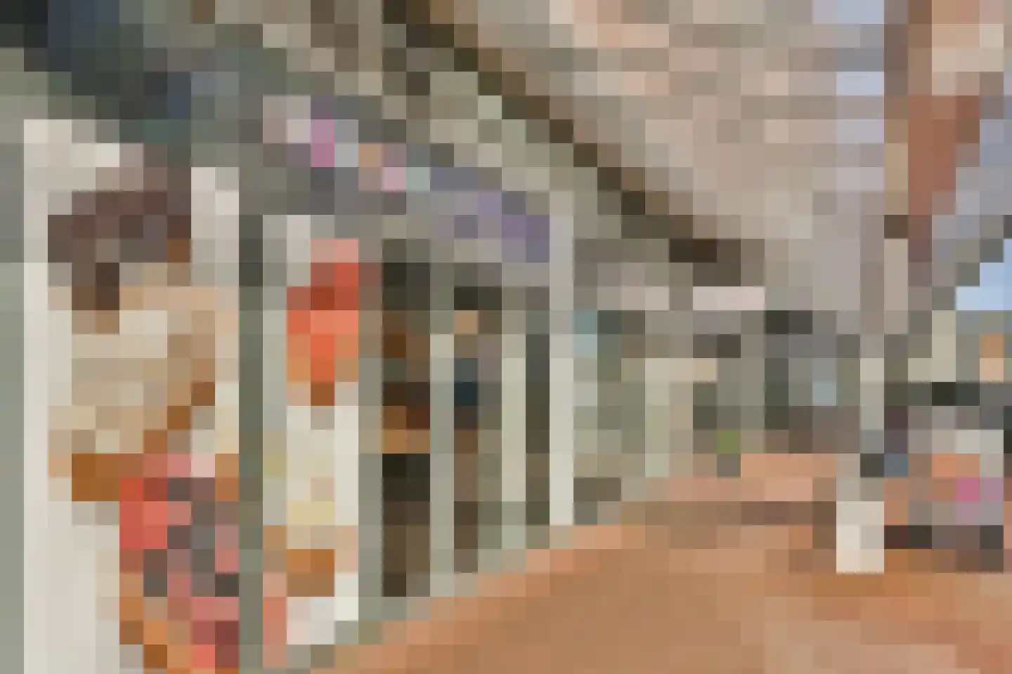 Hageland 116 Amsterdam thumbnail 28