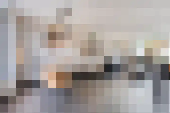 Hageldor 17 Nederweert thumbnail 11