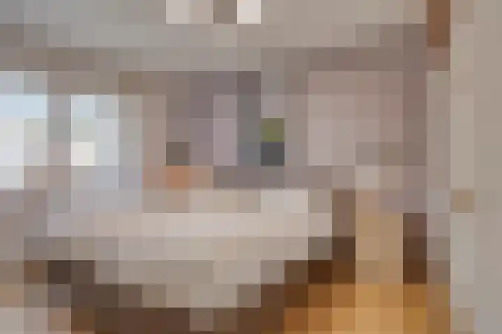 Hageldor 17 Nederweert thumbnail 16
