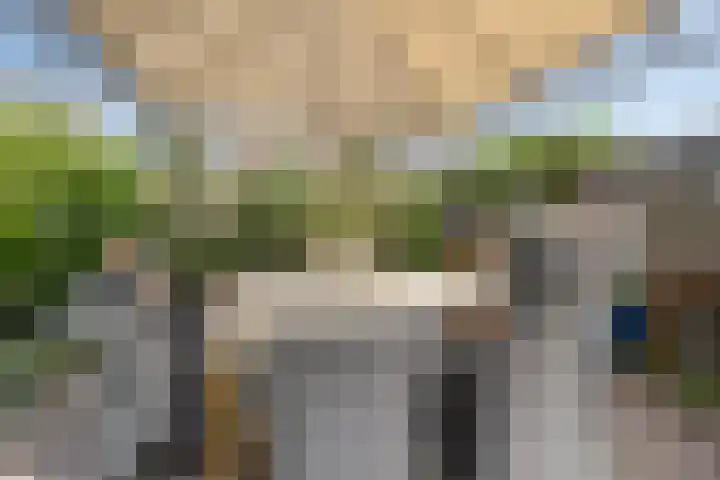 Hageldor 17 Nederweert thumbnail 30