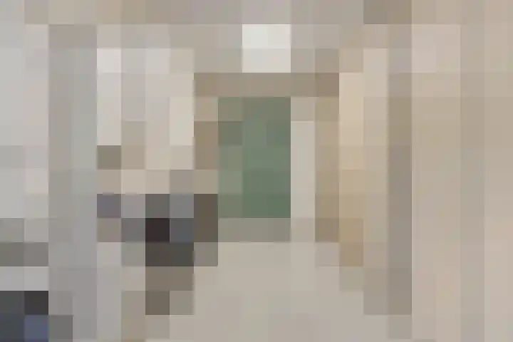 Hageldor 17 Nederweert thumbnail 33