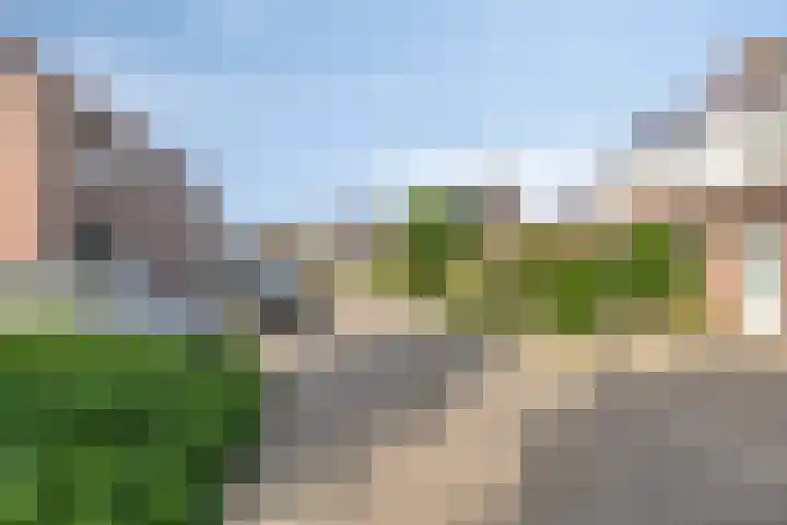 Hageldor 17 Nederweert thumbnail 38
