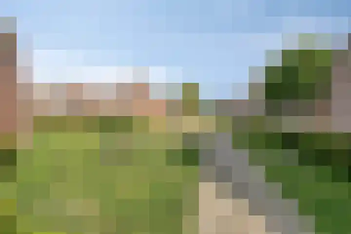 Hageldor 17 Nederweert thumbnail 39
