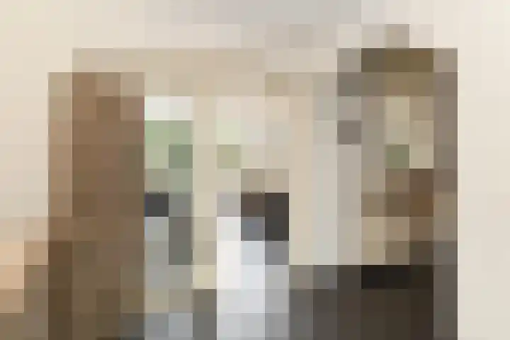 Hageldor 23 Nederweert thumbnail 10