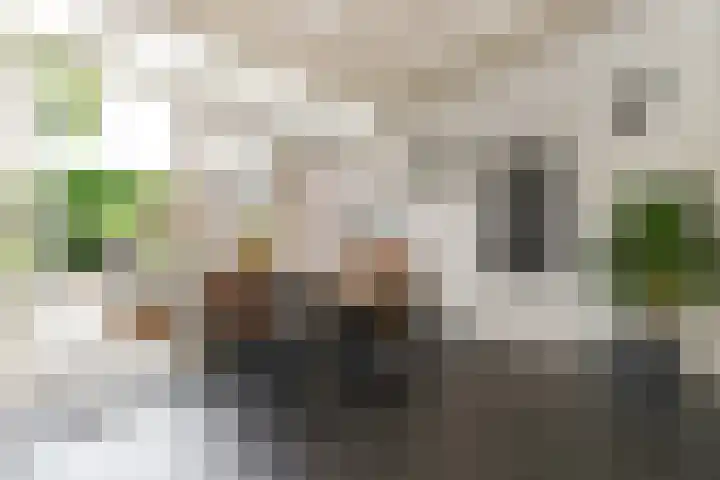 Hageldor 23 Nederweert thumbnail 15