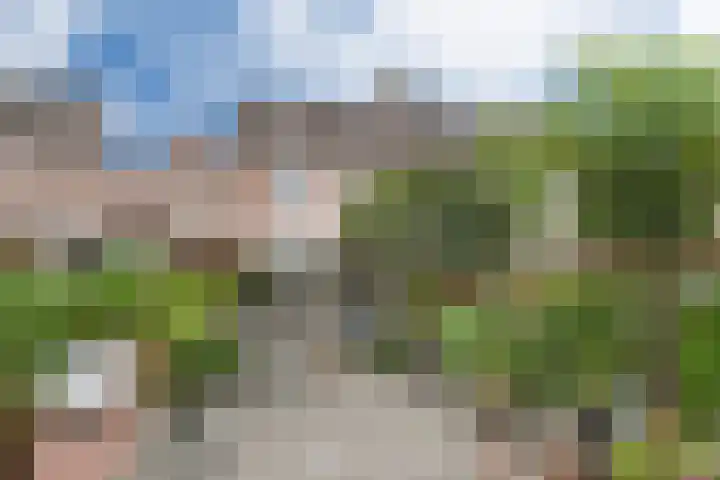 Hageldor 23 Nederweert thumbnail 24