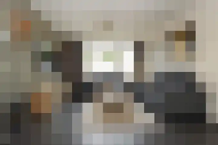 Hageldor 23 Nederweert thumbnail 7