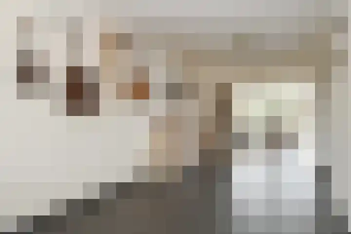 Hageldor 23 Nederweert thumbnail 9