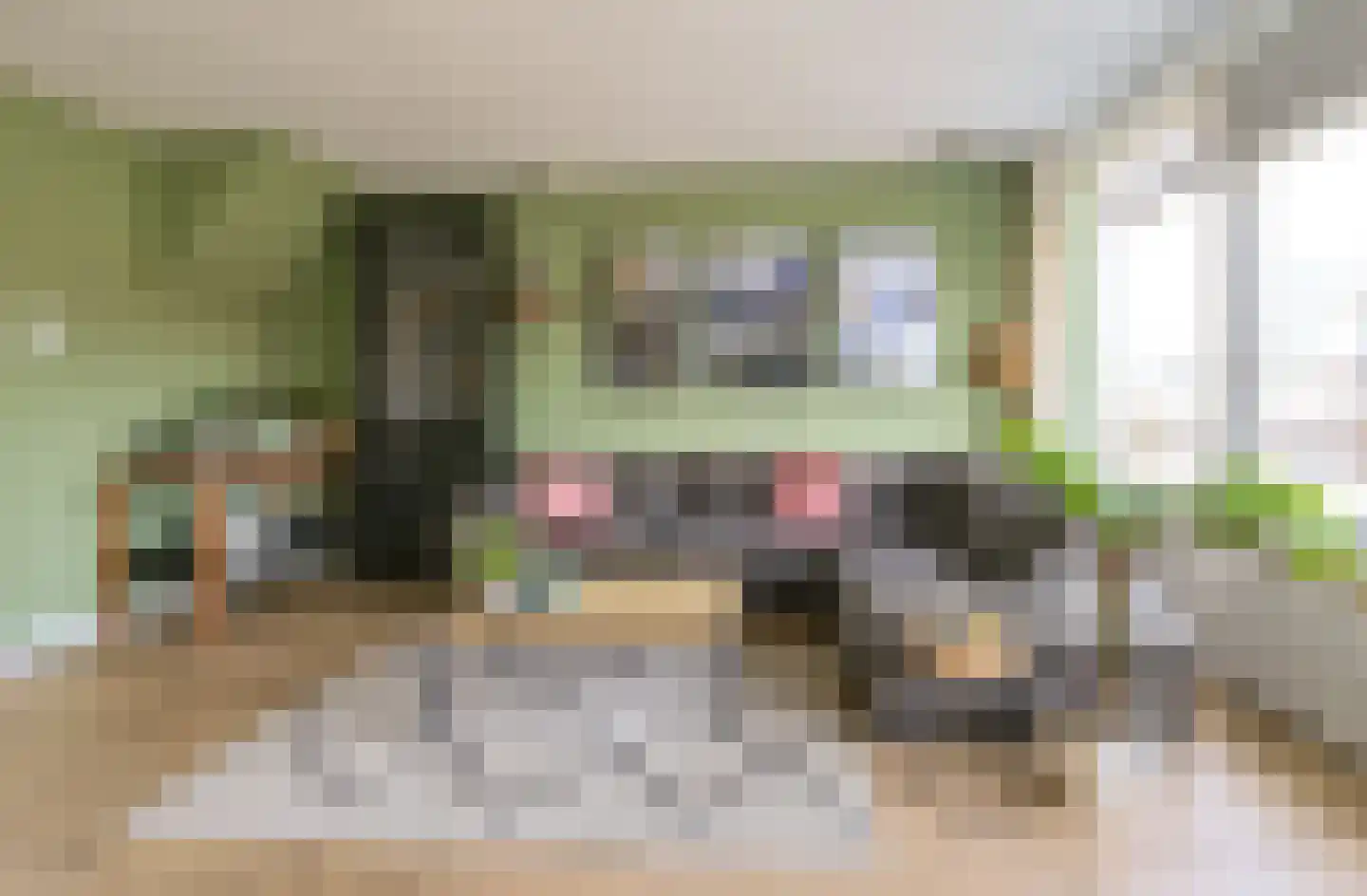 Hagelingerweg 101 Santpoort-Noord thumbnail 6