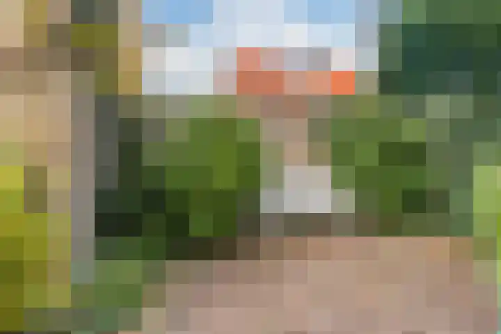 Hagelingerweg 156 Santpoort-Noord thumbnail 17