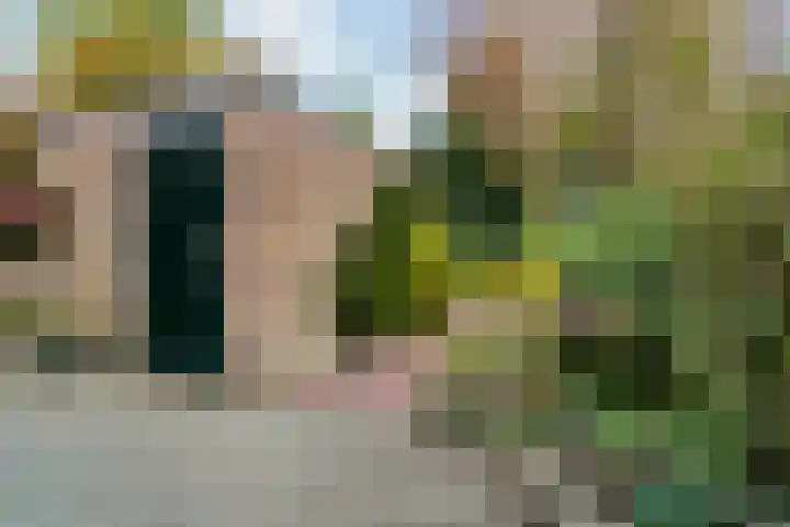 Hagelingerweg 156 Santpoort-Noord thumbnail 4