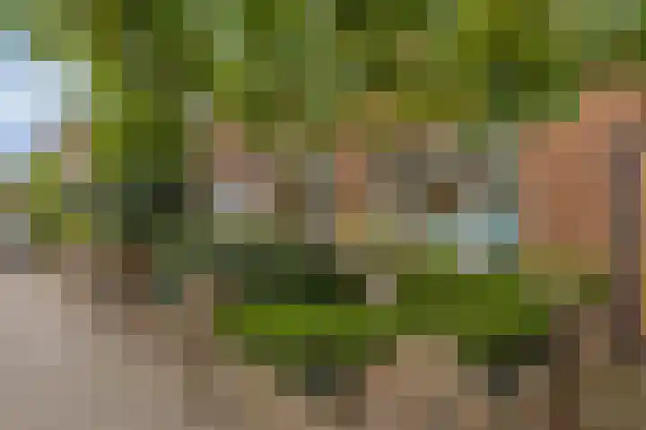 Hagelingerweg 159 Santpoort-Noord thumbnail 37