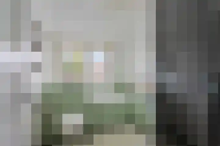 Hagelingerweg 159 Santpoort-Noord thumbnail 6