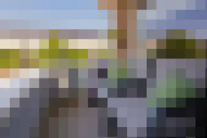 Hagelingerweg 20 C Santpoort-Noord thumbnail 22