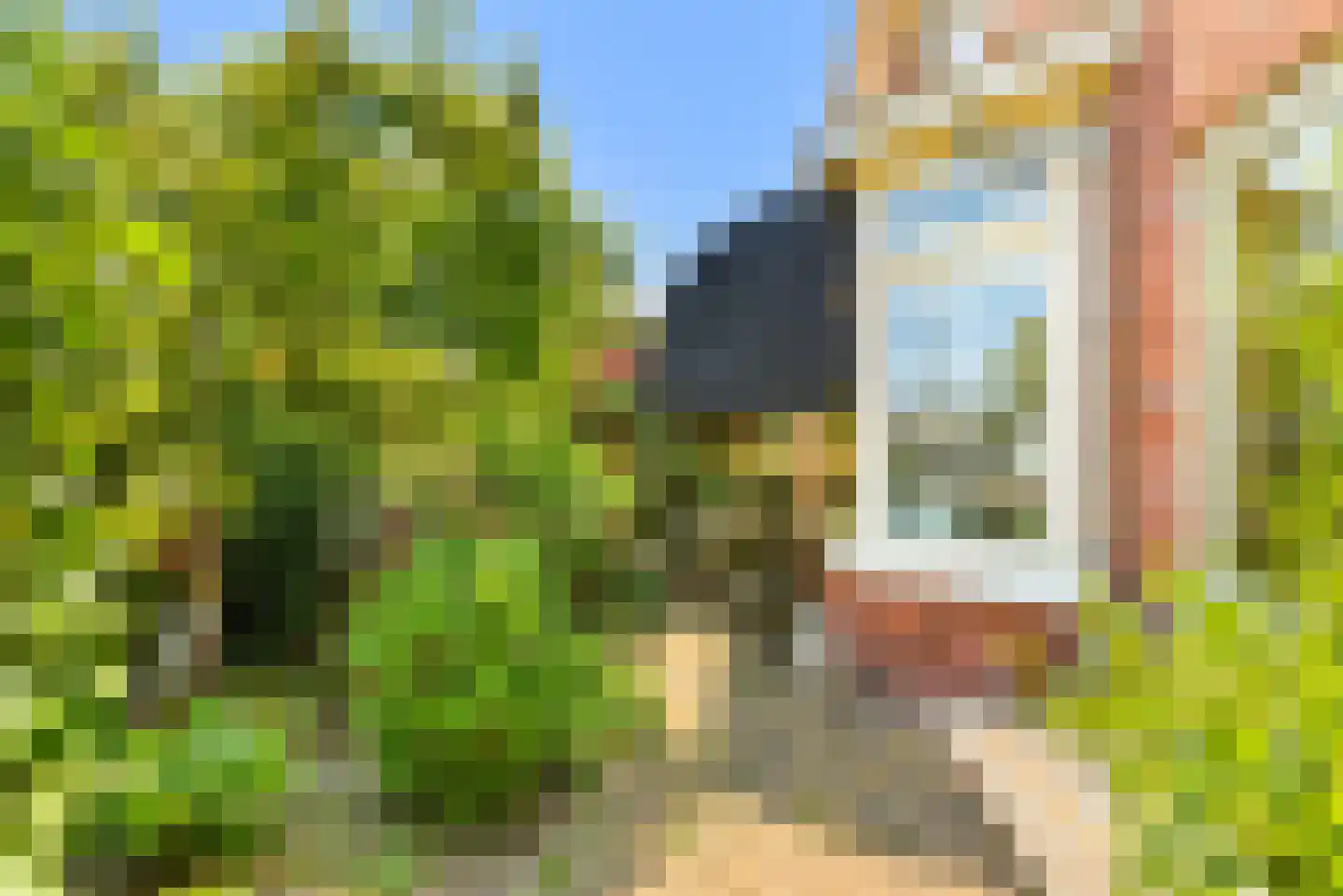 Hagelingerweg 277 Santpoort-Noord thumbnail 15