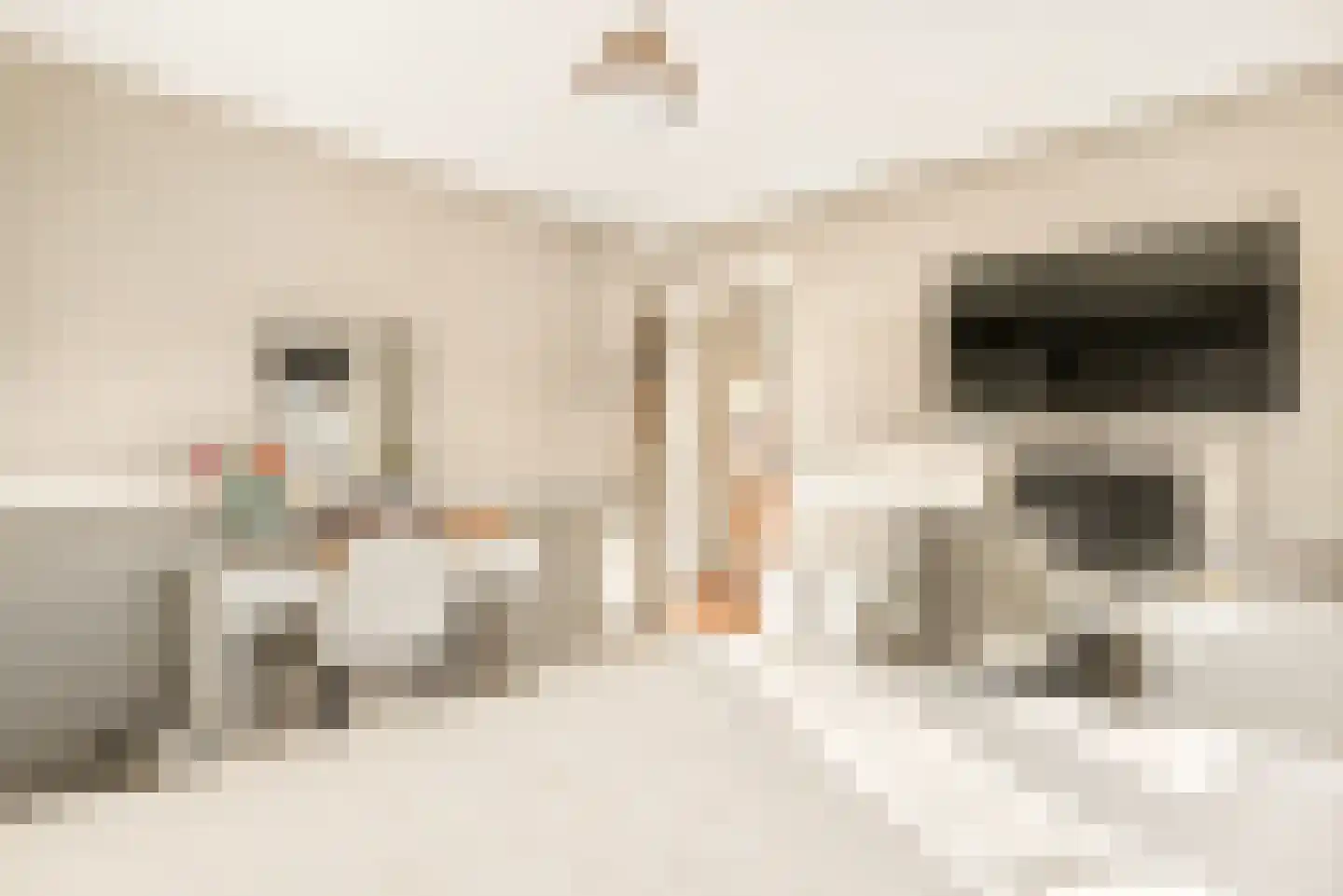 Hagelingerweg 277 Santpoort-Noord thumbnail 52
