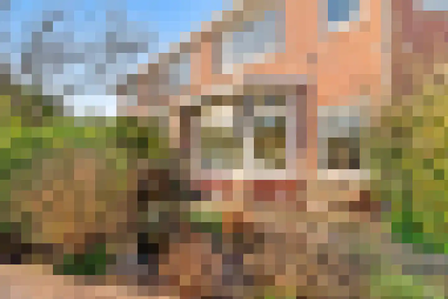 Hagelingerweg 277 Santpoort-Noord thumbnail 7