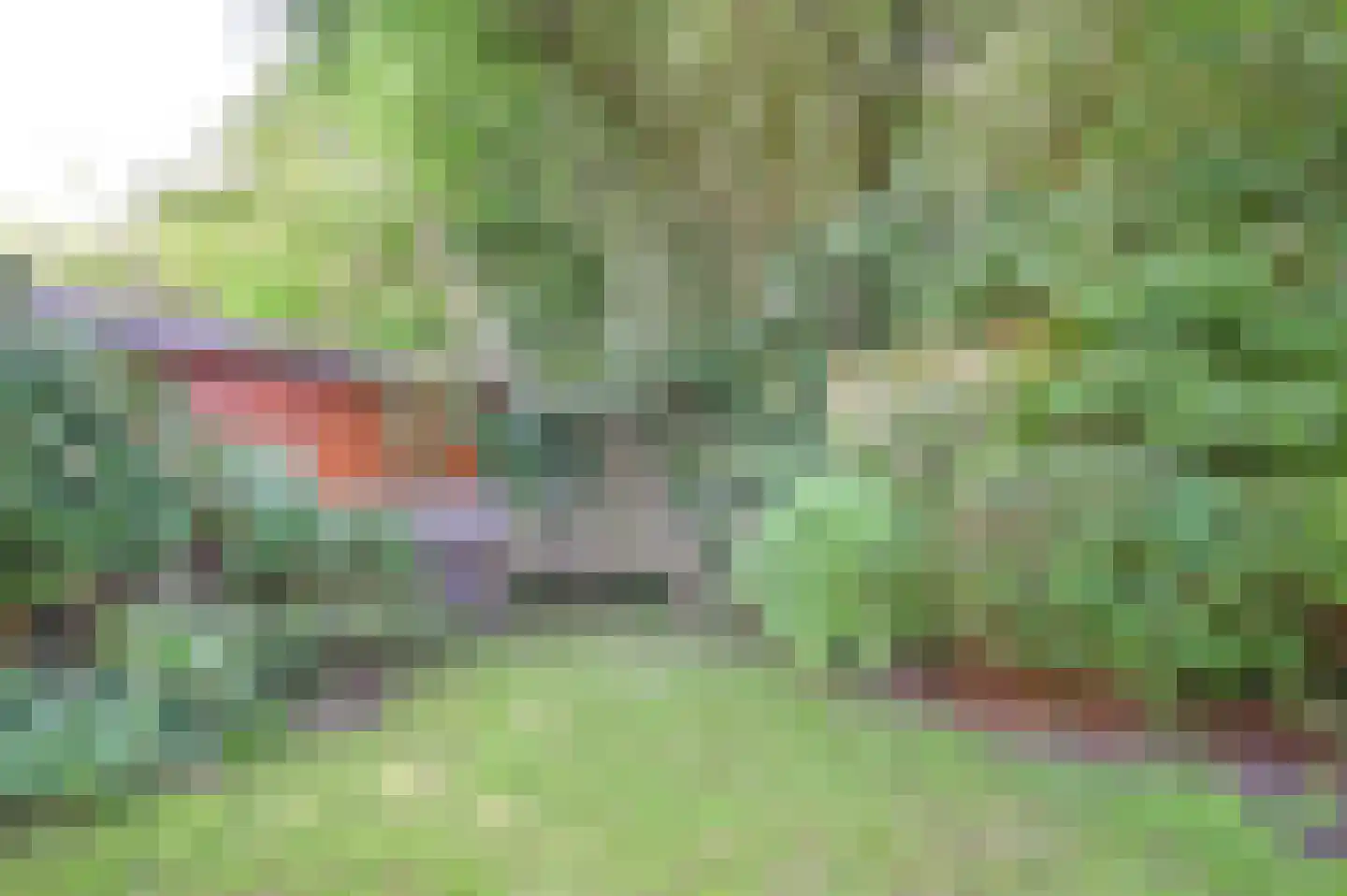 Hagelingerweg 283 Santpoort-Noord thumbnail 41