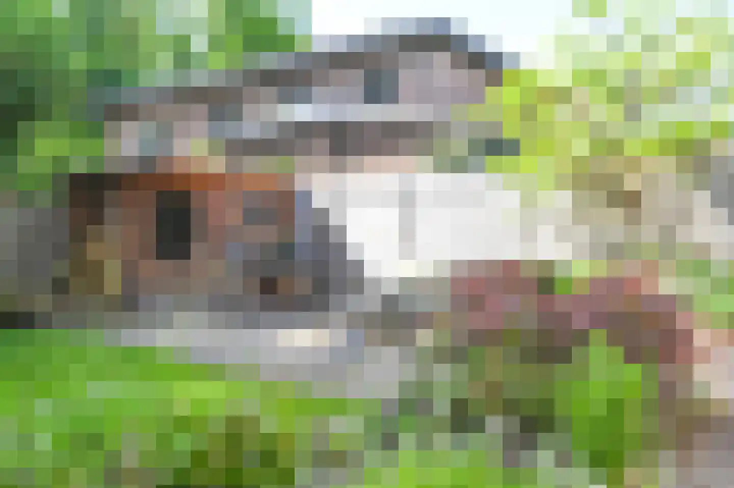 Hagelingerweg 283 Santpoort-Noord thumbnail 45