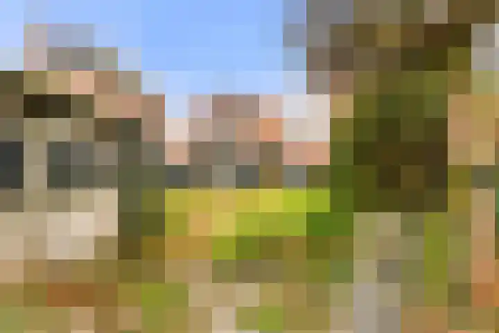 Hagelingerweg 54 Santpoort-Noord thumbnail 24