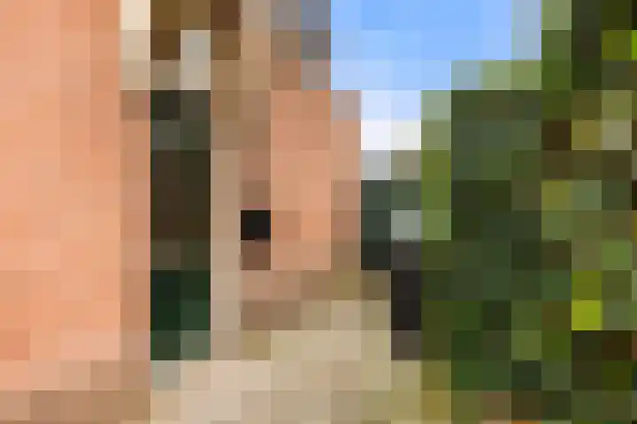 Hagelingerweg 54 Santpoort-Noord thumbnail 8