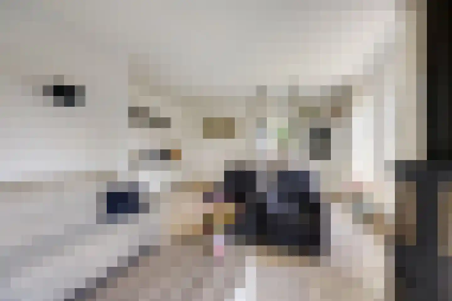 Hagelkruis 13 Kilder thumbnail 21