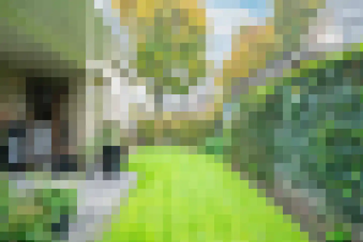 Hagelkruis 2 Bakel thumbnail 50