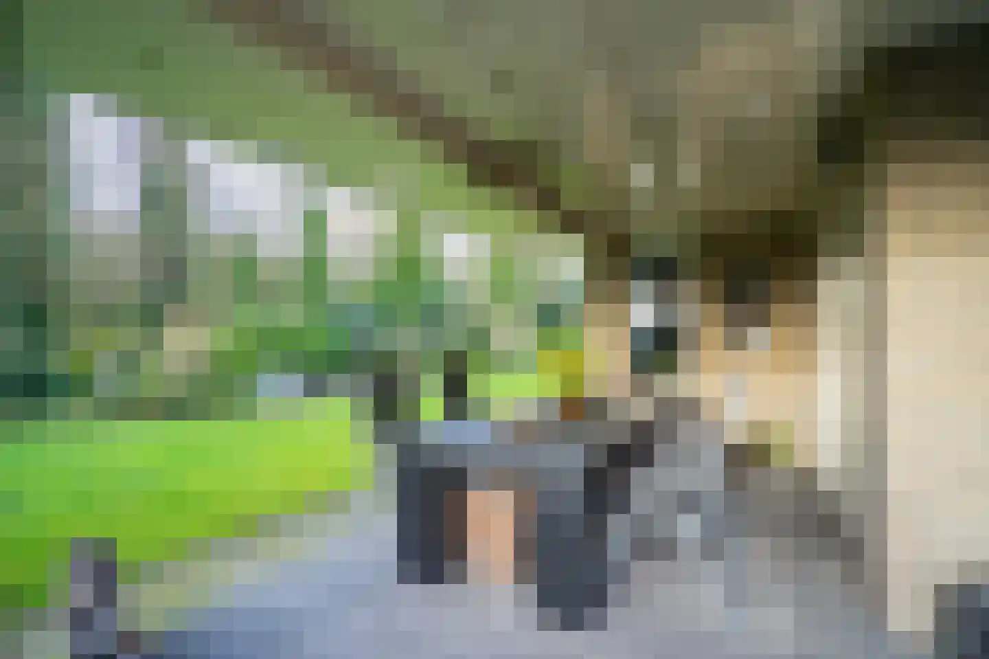 Hagelkruis 2 Bakel thumbnail 53