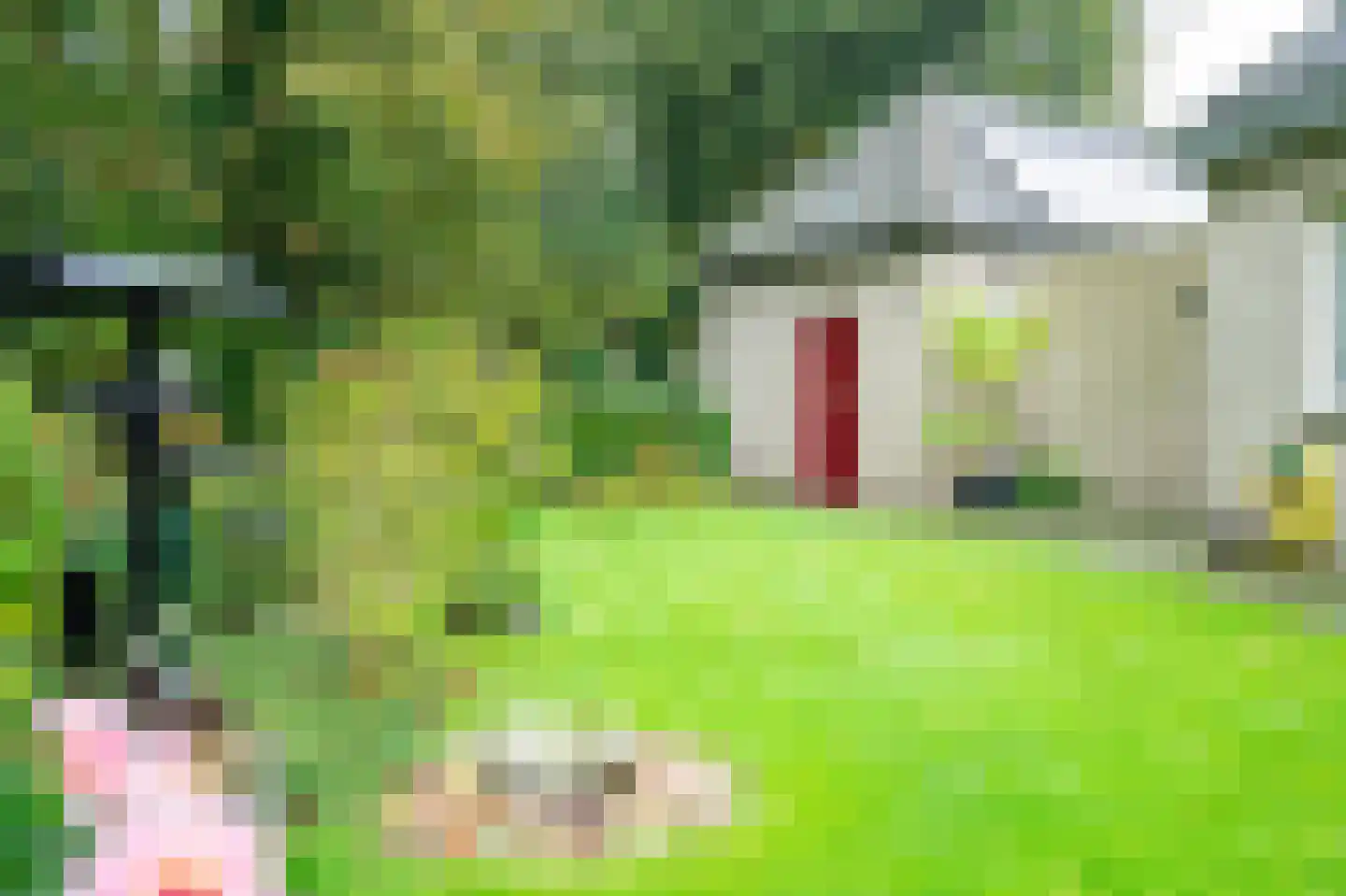Hagelkruis 2 Bakel thumbnail 55