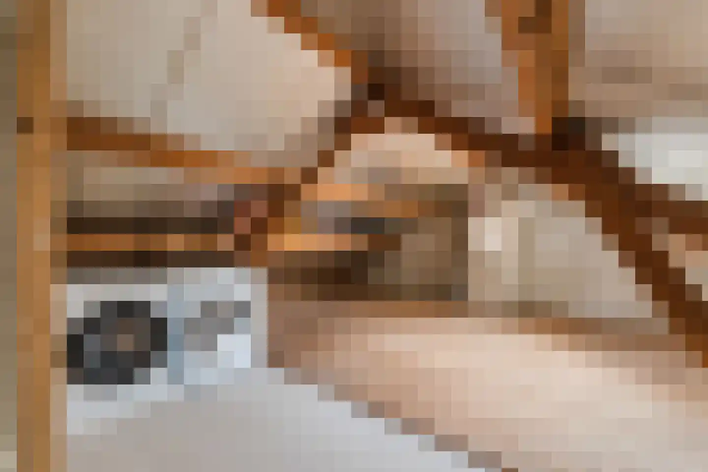 Hagelkruis 20 Bergeijk thumbnail 21