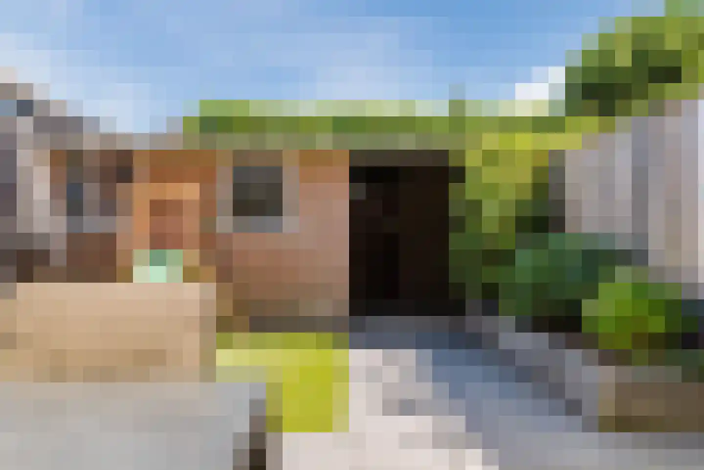 Hagelkruis 20 Bergeijk thumbnail 26