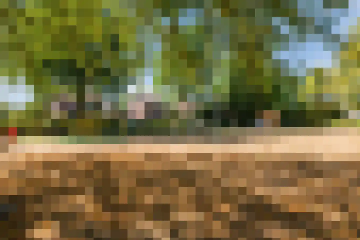 Hagelkruis 20 Bergeijk thumbnail 27